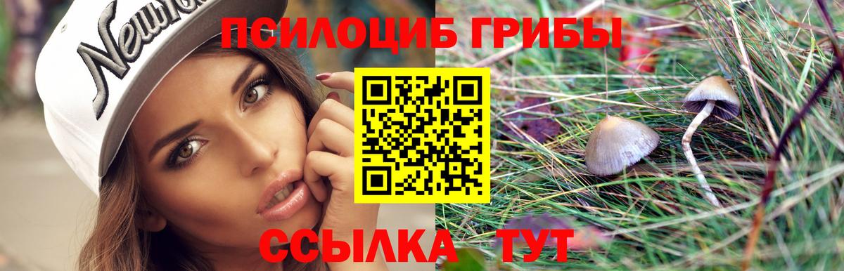 Галлюциногенные грибы Cubensis Заводоуковск