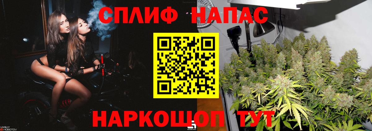 Бошки Шишки план Заводоуковск